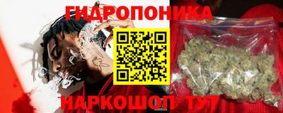 мдпв Новодвинск
