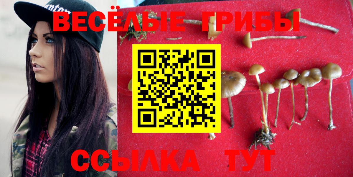 Урай  Галлюциногенные грибы Psilocybe  Вход с VPN 