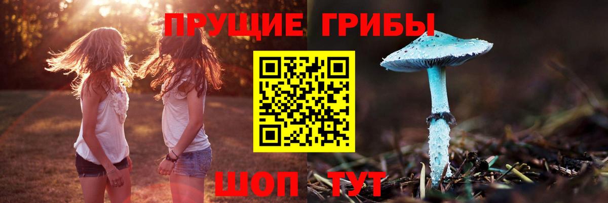 Галлюциногенные грибы Psilocybine cubensis Урай